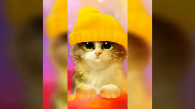 Красивая песня и весёлые котята 🐈