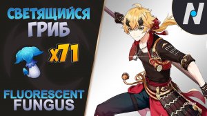 СВЕТЯЩИЙСЯ ГРИБ - Сбор Всех. ЛУЧШИЙ Маршрут | Genshin Impact