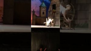 Тщетная предосторожность. Анджелина Воронцова и Николай Цискаридзе.