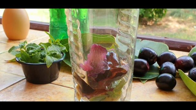 Jambolan Mojito | Jamun Mojito | Black Plum Mojito | Indian Blackberry | Java Plum
