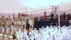 В Твери прошёл чемпионат по кикбоксингу.