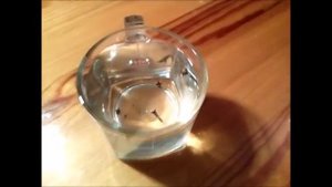 Как определить некачественную гвоздику