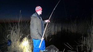 Рыбалка на паук ночью в стиле " Крадущийся тигр ", рыбалка на карася в болоте.