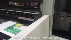 Принтер, цифровая печать по гофрокартону WONDER WD250 16А++