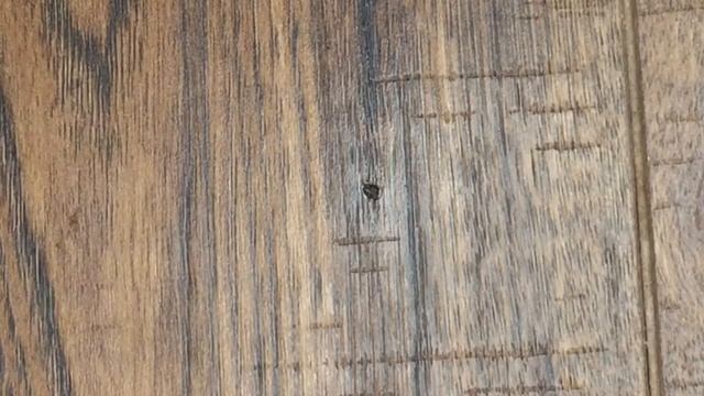 Laminate Floor Fix Scratches and Gouges (quick and easy)!!! #laminatefloor #laminate #flooring
