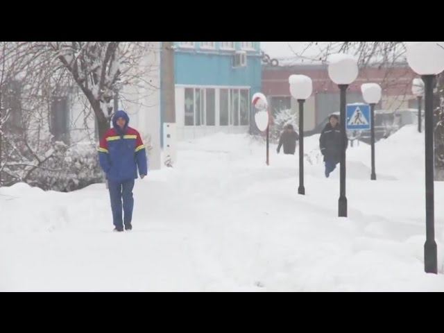 Будни бийск выпуск сегодня