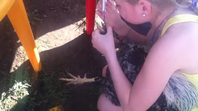 Гламурный Петух на подмосковной даче! смотреть онлайн