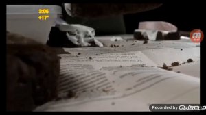 Рекламный блок и полная межпрограммки Евроновости 23.07.2018