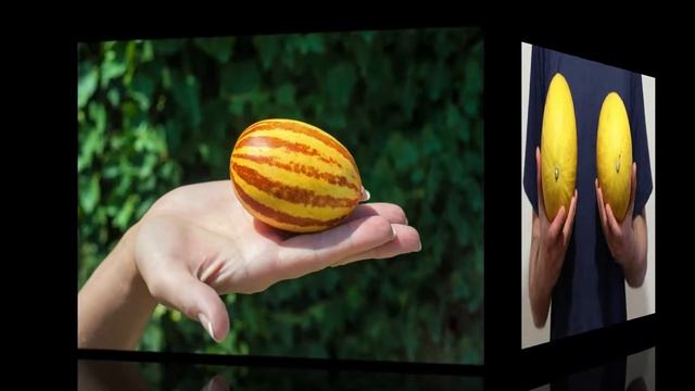 КАК ВЫБРАТЬ САМУЮ СПЕЛУЮ И СЛАДКУЮ ДЫНЮ! смотреть онлайн