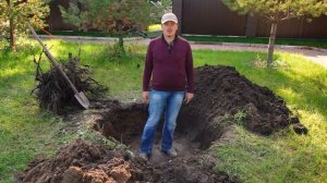 ПРАВИЛЬНАЯ ПОСАДКА ДЕРЕВЬЕВ - как обеспечить 100% ПРИЖИВАЕМОСТЬ