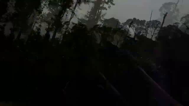 Калимантан/Kalimantan. С даяками к истокам реки