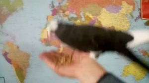 Курские голуби в Донском.