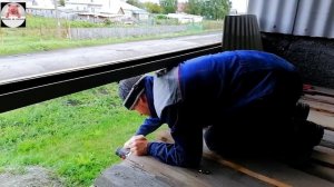 Миллион на свиньях.Забой свиньи.Откорм на Веге.Ждем опорос.