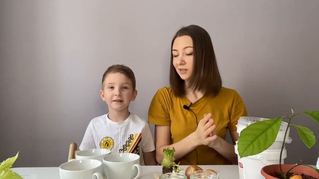 Сажаем огород с детьми экологично смотреть онлайн