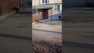 гейм оф скут с братом (не хейтите пж я меньше месяца катаю) #scooter #max_0am #рекомендации #самока