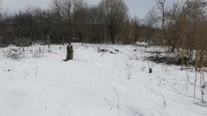 Разгребаем заброшенный участок, апрель 2022