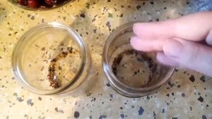 Маринованная Пряная черешня к мясу и овощам!Заготавливаем черешню на зиму.