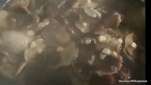 Однобочка (степовички) маринованные на скорую руку! #грибы #однобочка #кулинария #еда