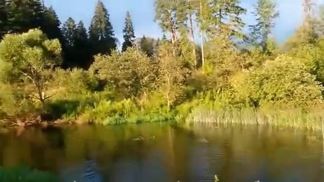 Телятьево-Пляж-Протва смотреть онлайн