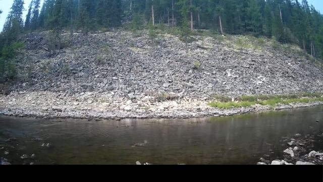 Глухая тайга.Дикие реки и только спиннинг  и мышь.Ловим ленка в мелких речках заросших тиной... смотреть онлайн