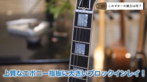 【Gibson】友達からやばいギターを借りてしまいました...【ES-355】