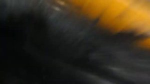 2110= 726= стук глушитея о кузов