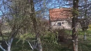 Поселок Лесное Калининградской области.  Домики и сады. Балтика
