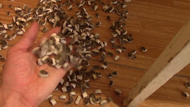 Итоги канатного теста Cold steel Recon 1 S35VN VS CTS-XHP смотреть онлайн