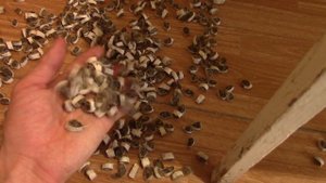 Итоги канатного теста Cold steel Recon 1 S35VN VS CTS-XHP