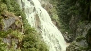 Смертельная осада. Боевик. Кунг-фу. 1992