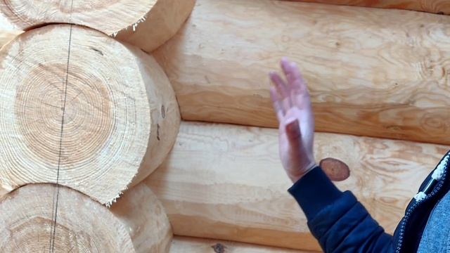 Как выбрать сруб? смотреть онлайн