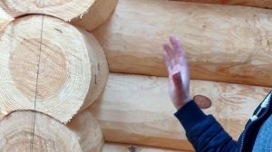 Как выбрать сруб?