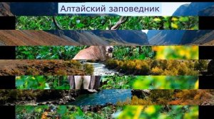 Виртуальный тур "По заповедным местам России" в рамках Дня заповедников и национальных парков в РФ