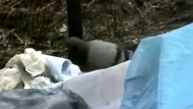 Биоотходы смотреть онлайн