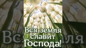 С ДОБРЫМ УТРОМ!!! С НОВЫМ ДНЁМ!!! ???Христианское пожелание