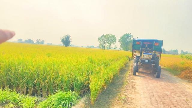 ਕੰਬਾਈਨ ਹਾਰਵੈਸਟਰ ਮਸ਼ੀਨ, harvester machine , rice cutting machine , ਰਾਈਸ ਕਟਿੰਗ ਮਸ਼ੀਨ , ਝੋਨੇ ਦੀ ਕਟਾਈ