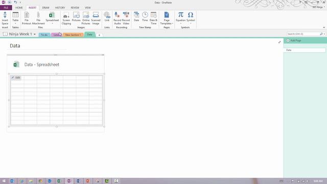 How to Embed an Excel Spreadsheet in OneNote смотреть онлайн