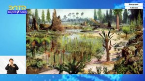 6-класс | Биология | Понятие об эволюции растительного мира