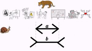 Думай медленно, решай быстро | Даниэль Канеман | Саммари (Thinking, Fast and Slow by Kahneman)