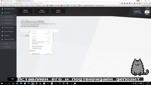 Заработок в интернете. Кот делает деньги #1 - RG