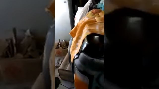 Ремонт Ниссан Патрол с Маусом смотреть онлайн