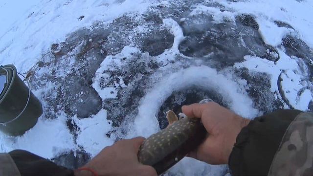 Ловля щуки на ЖЕРЛИЦЫ! 2021 Опасный выход на лёд! смотреть онлайн