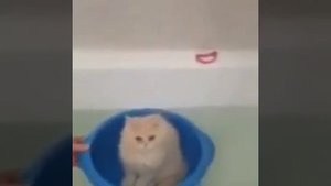 Я убью тебя, лодочник!