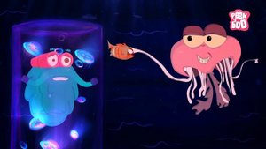 Invertebrates | The Dr. Binocs Show | Learn Videos For Kids