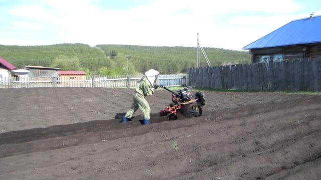 ПОСАДКА КАРТОФЕЛЯ МОТОБЛОКОМ КАСКАД от А до Я, С ИСПОЛЬЗОВАНИЕМ ОКУЧНИКА И ГУСИНЫМИ ЛАПКАМИ