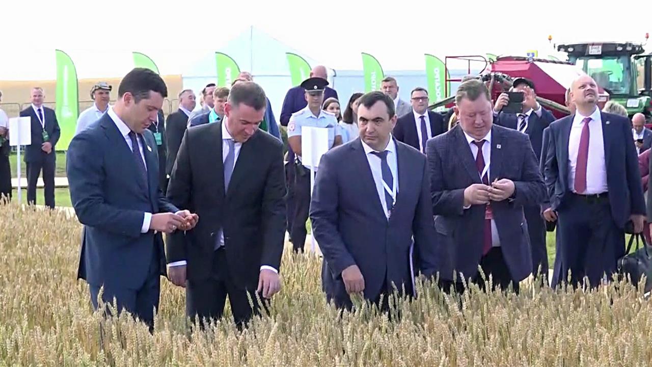 Россия в этом году поставит за рубеж сельскохозяйственной продукции на 40 млрд долларов