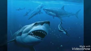 Мегалодон против дейнозуха