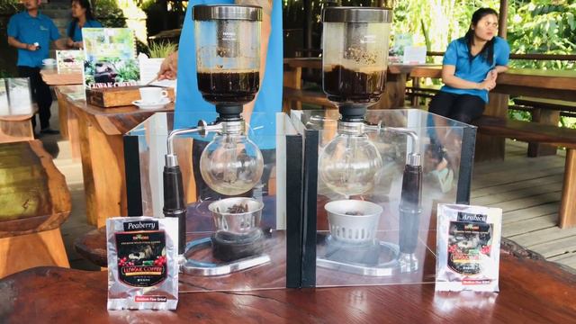 Кофейная плантация на Бали. Дегустация. Самый дорогой кофе Luwak (Лювак)