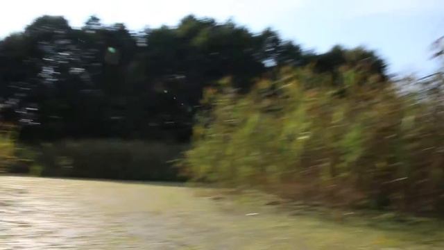 Река Мухавец август 2014г. смотреть онлайн