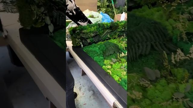 Наша необычная работа!?